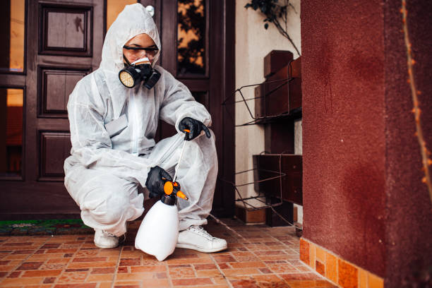 Attic and Crawl Space Rodent Treatment in Venice